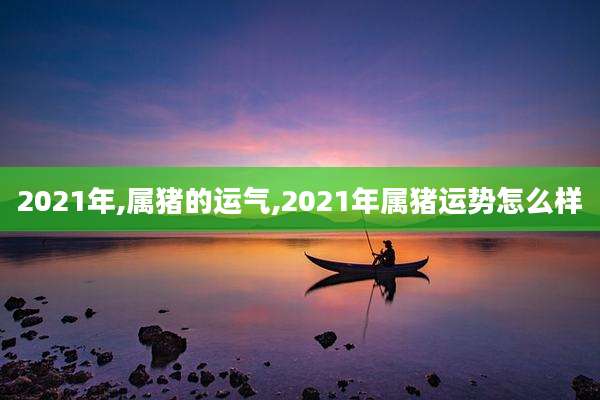 2021年,属猪的运气,2021年属猪运势怎么样