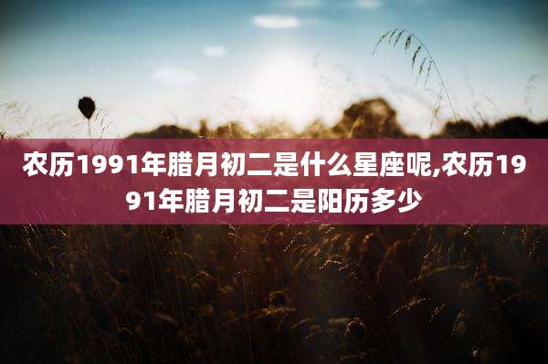 农历1991年腊月初二是什么星座呢,农历1991年腊月初二是阳历多少