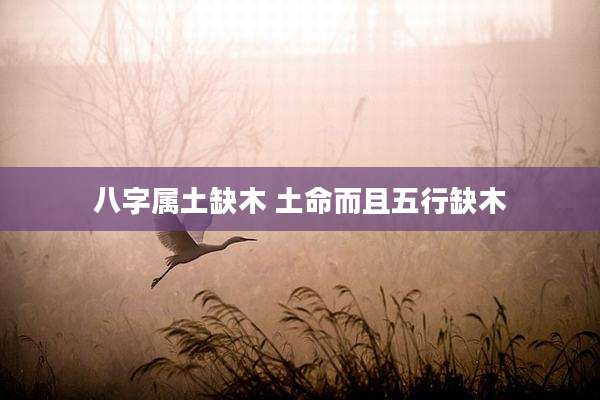 八字属土缺木 土命而且五行缺木