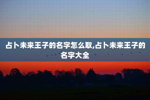 占卜未来王子的名字怎么取,占卜未来王子的名字大全