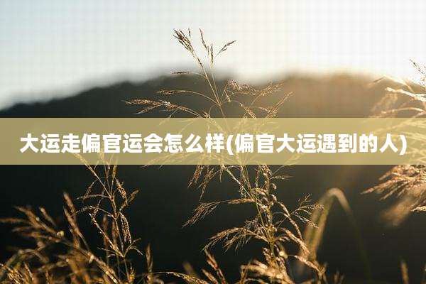大运走偏官运会怎么样(偏官大运遇到的人)