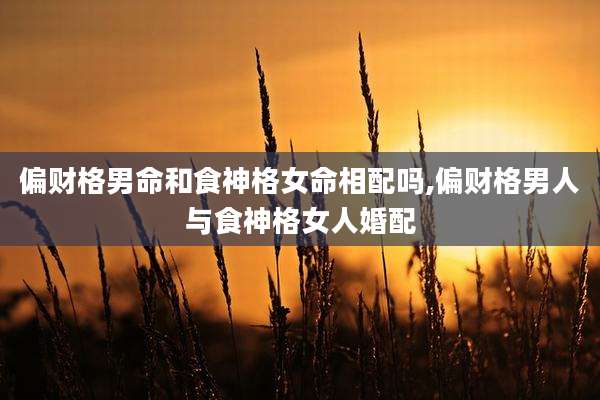 偏财格男命和食神格女命相配吗,偏财格男人与食神格女人婚配