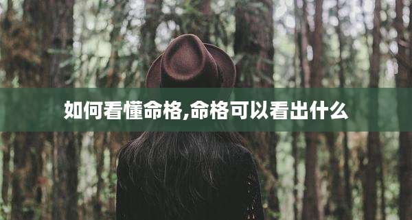 如何看懂命格,命格可以看出什么