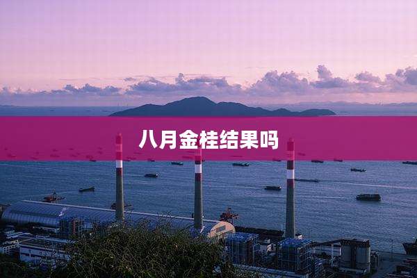 八月金桂结果吗
