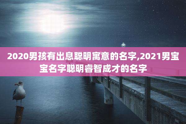 2020男孩有出息聪明寓意的名字,2021男宝宝名字聪明睿智成才的名字