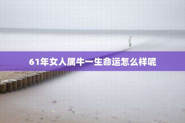 61年女人属牛一生命运怎么样呢