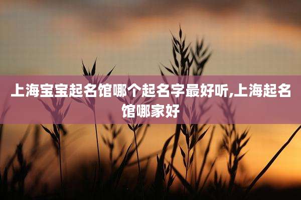 上海宝宝起名馆哪个起名字最好听,上海起名馆哪家好
