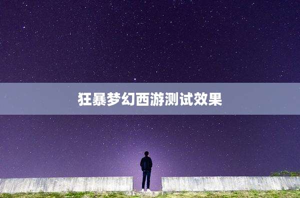 狂暴梦幻西游测试效果