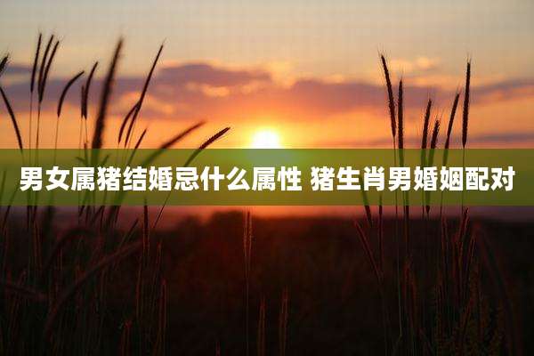 男女属猪结婚忌什么属性 猪生肖男婚姻配对