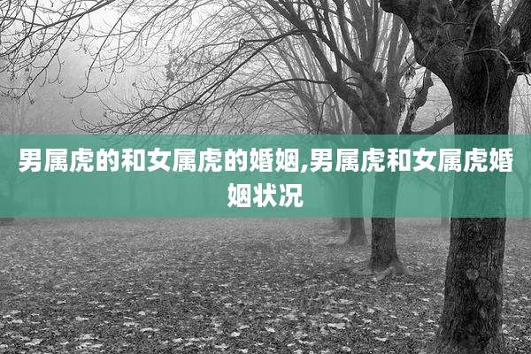 男属虎的和女属虎的婚姻,男属虎和女属虎婚姻状况