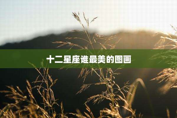 十二星座谁最美的图画