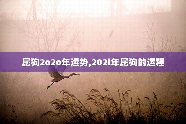 属狗2o2o年运势,202l年属狗的运程