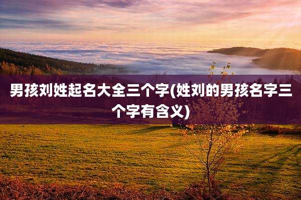男孩刘姓起名大全三个字(姓刘的男孩名字三个字有含义)