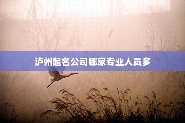 泸州起名公司哪家专业人员多