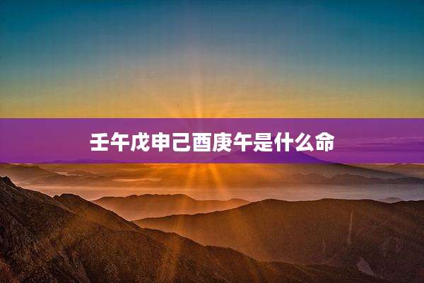 壬午戊申己酉庚午是什么命