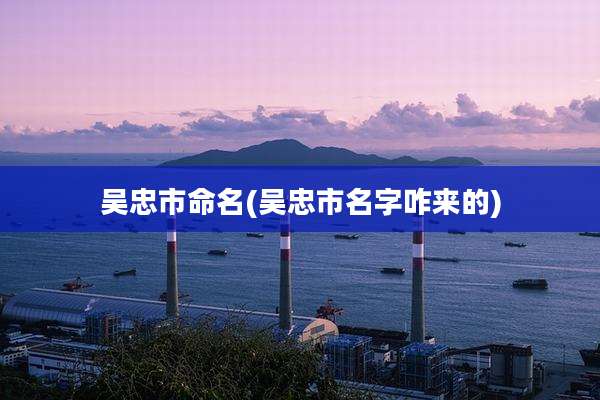 吴忠市命名(吴忠市名字咋来的)