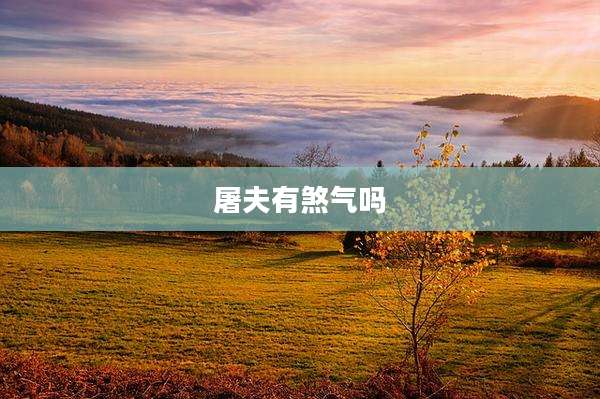 屠夫有煞气吗