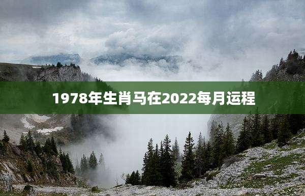 1978年生肖马在2022每月运程