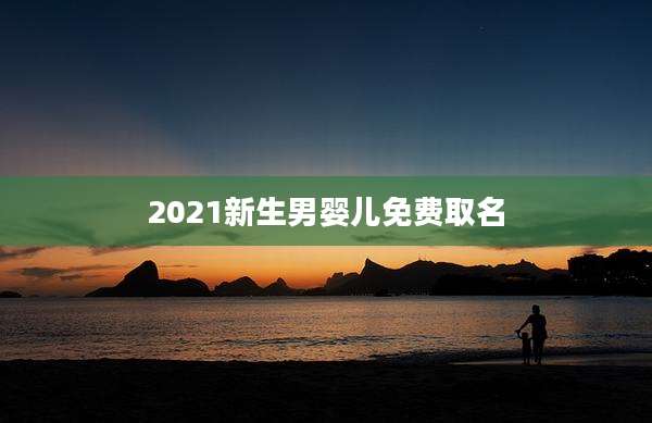 2021新生男婴儿免费取名
