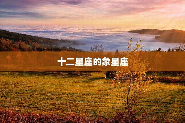 十二星座的象星座