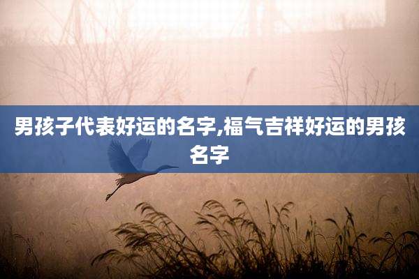 男孩子代表好运的名字,福气吉祥好运的男孩名字