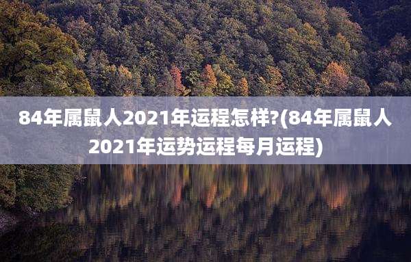 84年属鼠人2021年运程怎样?(84年属鼠人2021年运势运程每月运程)