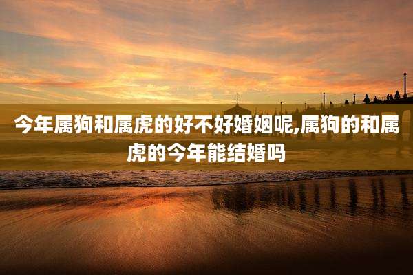 今年属狗和属虎的好不好婚姻呢,属狗的和属虎的今年能结婚吗