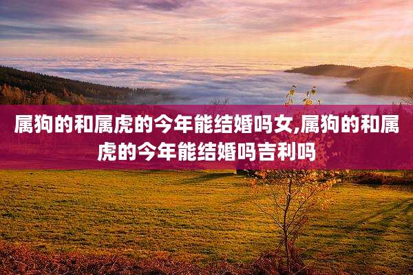 属狗的和属虎的今年能结婚吗女,属狗的和属虎的今年能结婚吗吉利吗