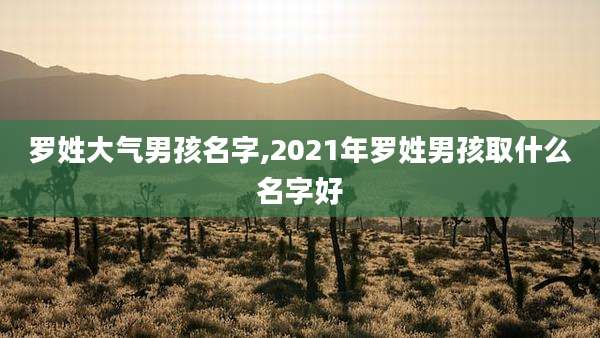 罗姓大气男孩名字,2021年罗姓男孩取什么名字好