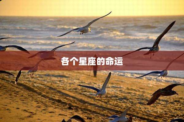 各个星座的命运
