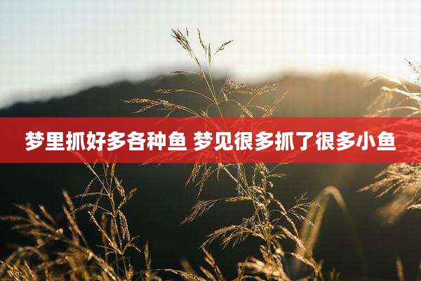 梦里抓好多各种鱼 梦见很多抓了很多小鱼