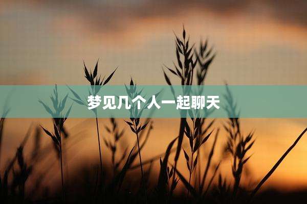 梦见几个人一起聊天