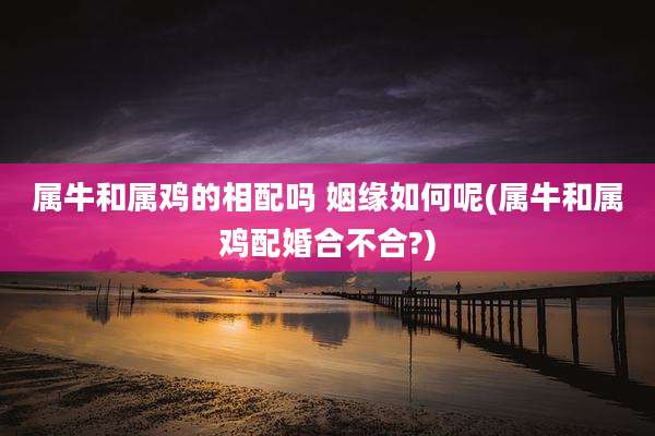 属牛和属鸡的相配吗 姻缘如何呢(属牛和属鸡配婚合不合?)