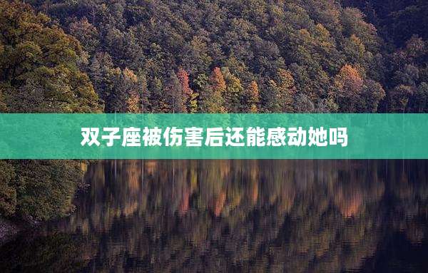双子座被伤害后还能感动她吗