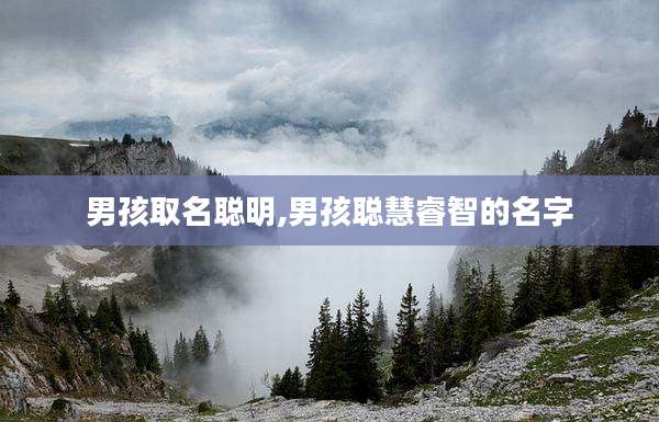 男孩取名聪明,男孩聪慧睿智的名字