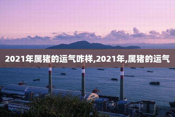 2021年属猪的运气咋样,2021年,属猪的运气