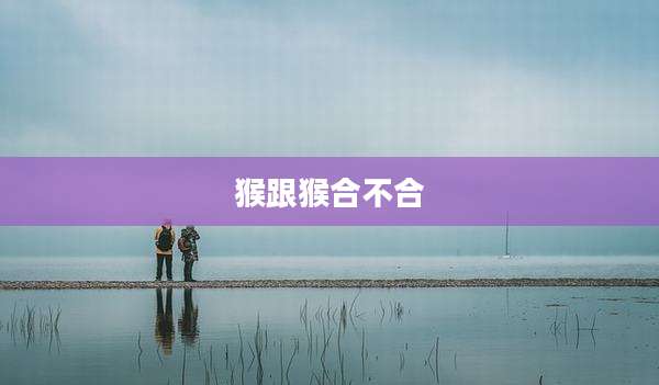 猴跟猴合不合
