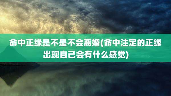 命中正缘是不是不会离婚(命中注定的正缘出现自己会有什么感觉)