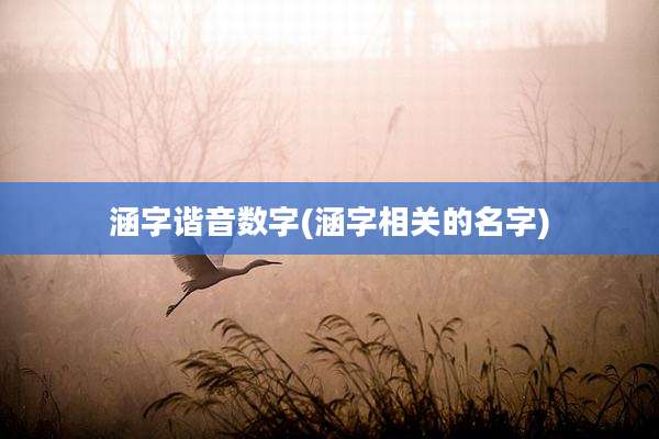 涵字谐音数字(涵字相关的名字)
