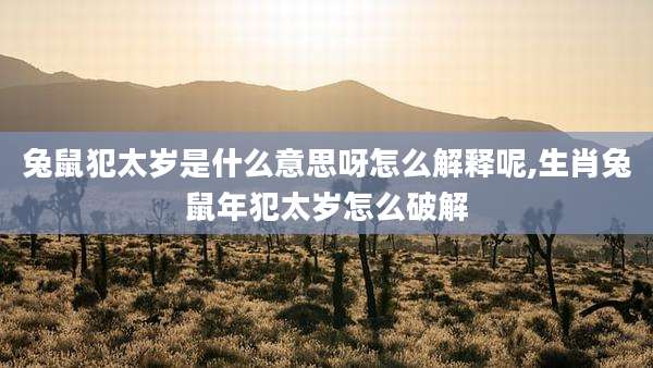 兔鼠犯太岁是什么意思呀怎么解释呢,生肖兔鼠年犯太岁怎么破解