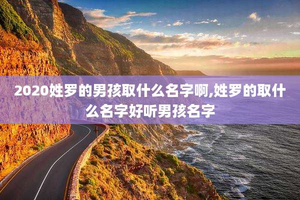 2020姓罗的男孩取什么名字啊,姓罗的取什么名字好听男孩名字