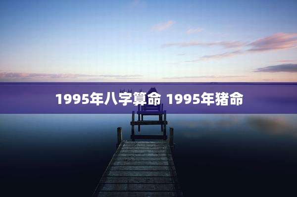1995年八字算命 1995年猪命