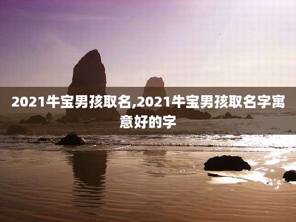 2021牛宝男孩取名,2021牛宝男孩取名字寓意好的字