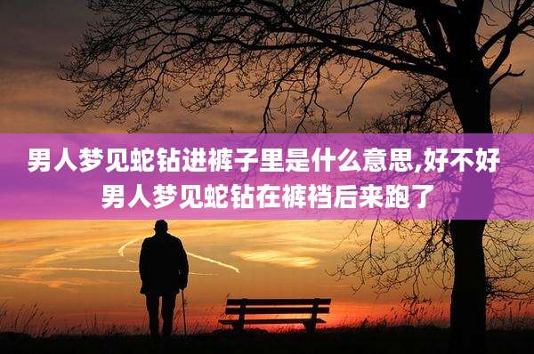 男人梦见蛇钻进裤子里是什么意思,好不好 男人梦见蛇钻在裤裆后来跑了