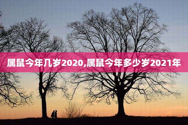 属鼠今年几岁2020,属鼠今年多少岁2021年