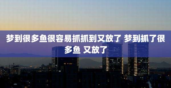 梦到很多鱼很容易抓抓到又放了 梦到抓了很多鱼 又放了