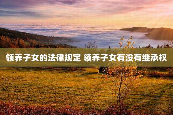 领养子女的法律规定 领养子女有没有继承权