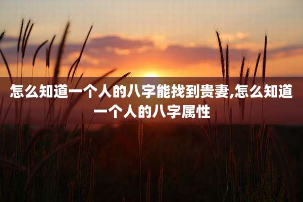 怎么知道一个人的八字能找到贵妻,怎么知道一个人的八字属性