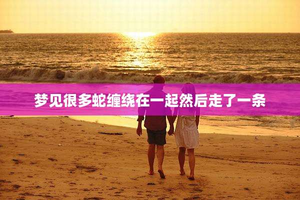 梦见很多蛇缠绕在一起然后走了一条