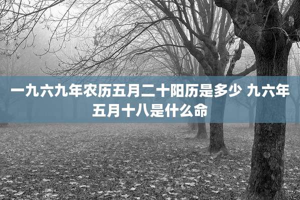 一九六九年农历五月二十阳历是多少 九六年五月十八是什么命